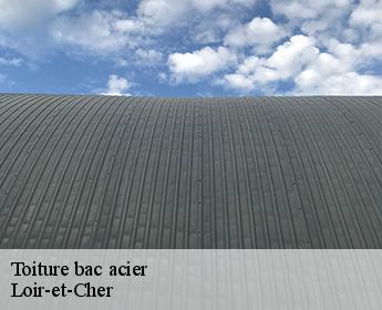 Toiture bac acier Loir-et-Cher 