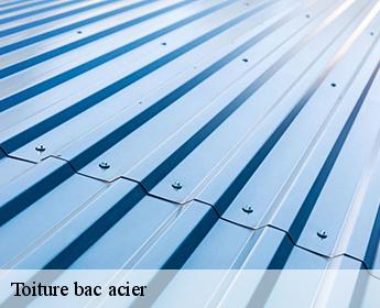 Toiture bac acier Loir-et-Cher