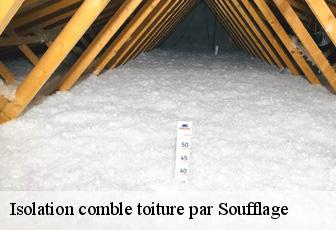 Isolation comble toiture par Soufflage Loir-et-Cher 