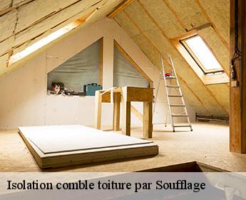 Isolation comble toiture par Soufflage Loir-et-Cher 