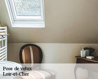 Pose de velux Loir-et-Cher