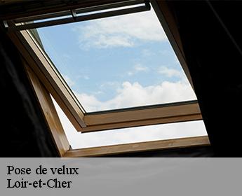 Pose de velux Loir-et-Cher