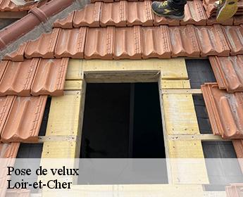 Pose de velux Loir-et-Cher 