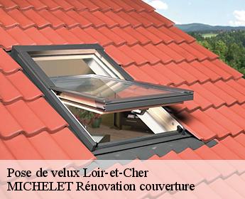 Pose de velux Loir-et-Cher 