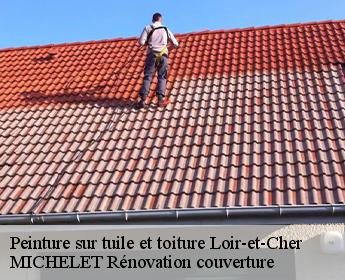 Peinture sur tuile et toiture 41 Loir-et-Cher Entreprise de Couverture et Reparation 41