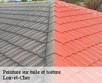 Peinture sur tuile et toiture