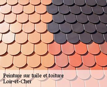 Peinture sur tuile et toiture Loir-et-Cher