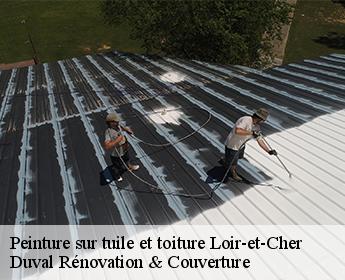 Peinture sur tuile et toiture Loir-et-Cher