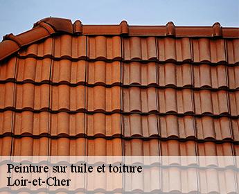 Peinture sur tuile et toiture