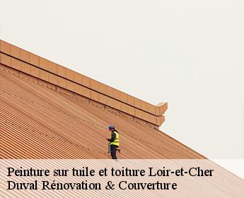 Peinture sur tuile et toiture