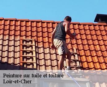 Peinture sur tuile et toiture Loir-et-Cher