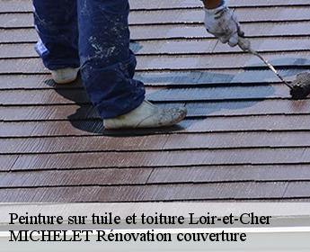 Peinture sur tuile et toiture Loir-et-Cher