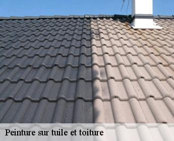 Peinture sur tuile et toiture Loir-et-Cher 