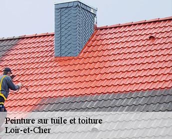 Peinture sur tuile et toiture Loir-et-Cher