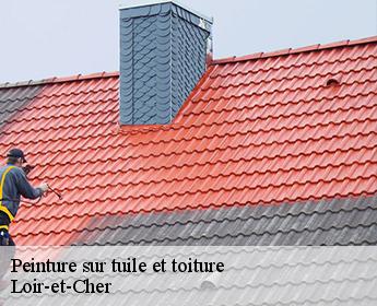 Peinture sur tuile et toiture Loir-et-Cher 