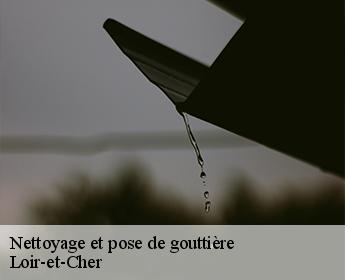 Nettoyage et pose de gouttière Loir-et-Cher