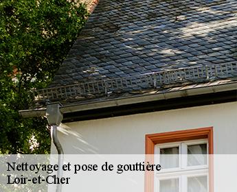 Nettoyage et pose de gouttière
