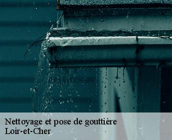 Nettoyage et pose de gouttière Loir-et-Cher