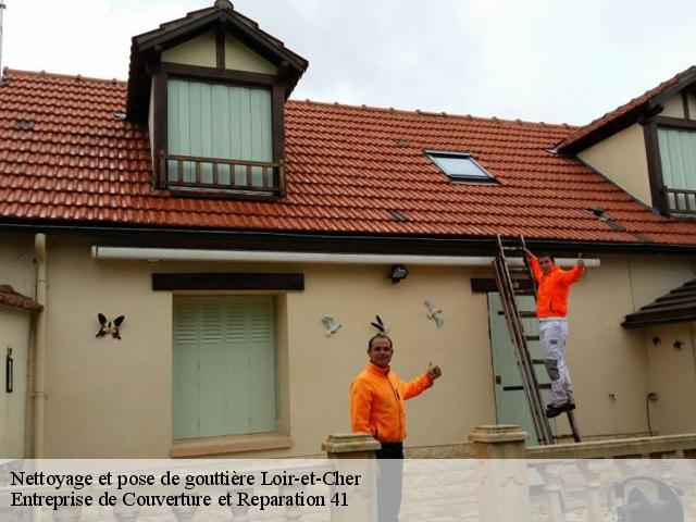 Nettoyage et pose de gouttière Loir-et-Cher 