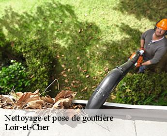 Nettoyage et pose de gouttière Loir-et-Cher