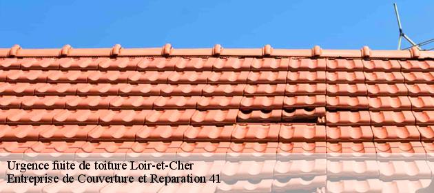 Urgence fuite de toiture 41 Loir-et-Cher  Entreprise de Couverture et Reparation 41