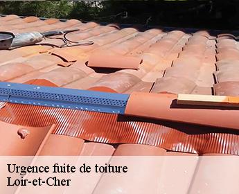 Urgence fuite de toiture Loir-et-Cher 