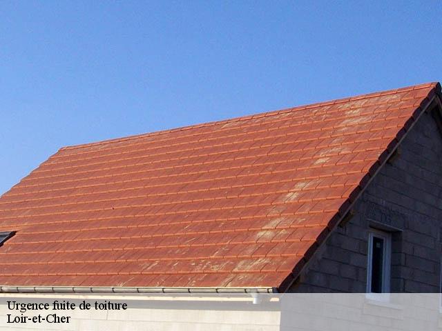 Urgence fuite de toiture Loir-et-Cher 