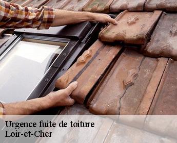 Urgence fuite de toiture Loir-et-Cher
