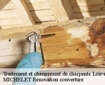 Traitement et changement de charpente 41 Loir-et-Cher  Entreprise de Couverture et Reparation 41