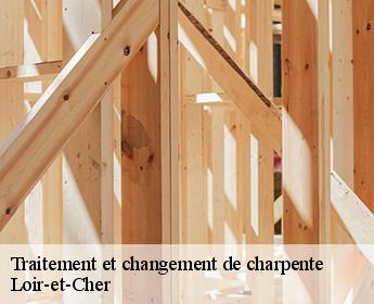 Traitement et changement de charpente Loir-et-Cher
