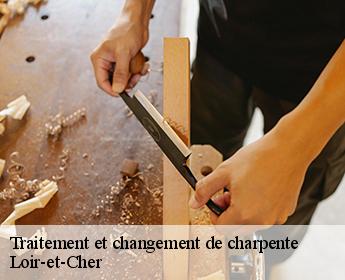 Traitement et changement de charpente