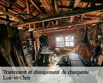 Traitement et changement de charpente Loir-et-Cher