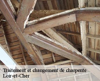 Traitement et changement de charpente Loir-et-Cher 