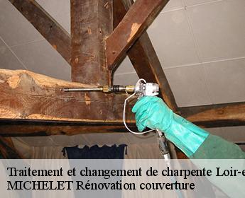 Traitement et changement de charpente Loir-et-Cher