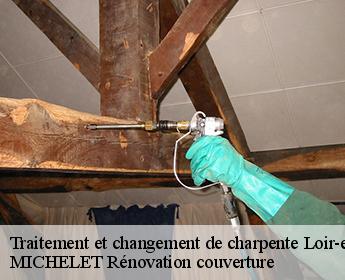 Traitement et changement de charpente Loir-et-Cher 