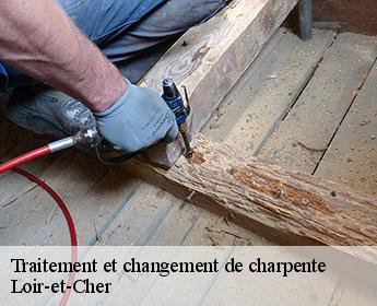 Traitement et changement de charpente Loir-et-Cher 