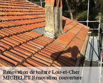 Rénovation de toiture Loir-et-Cher 