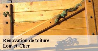 Rénovation de toiture Loir-et-Cher 