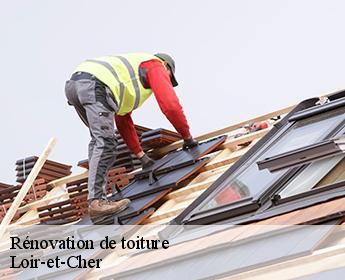 Rénovation de toiture Loir-et-Cher