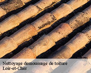 Nettoyage demoussage de toiture Loir-et-Cher