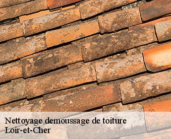 Nettoyage demoussage de toiture