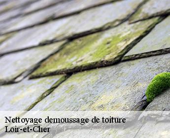 Nettoyage demoussage de toiture Loir-et-Cher