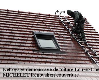 Nettoyage demoussage de toiture Loir-et-Cher
