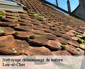Nettoyage demoussage de toiture Loir-et-Cher
