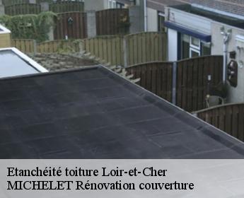 Etanchéité toiture 41 Loir-et-Cher Entreprise de Couverture et Reparation 41
