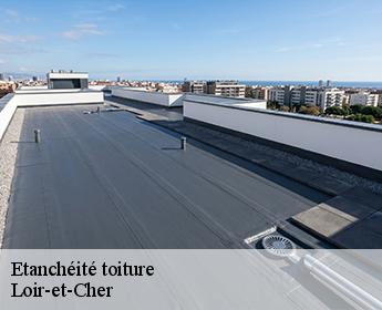 Etanchéité toiture Loir-et-Cher 