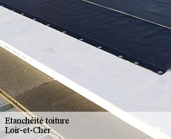 Etanchéité toiture Loir-et-Cher