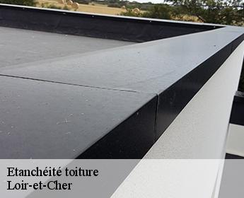 Etanchéité toiture Loir-et-Cher