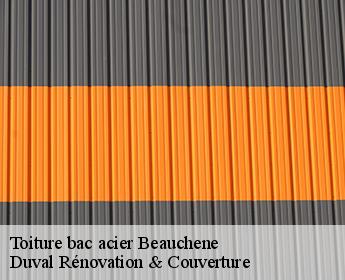 Toiture bac acier  41170