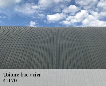 Toiture bac acier  41170